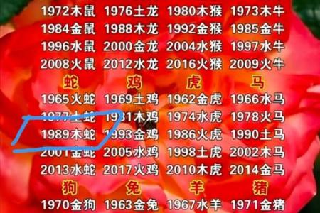 如何通过五行火来提升个人运势