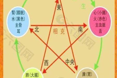 北五行属性解析及其在五行中的角色