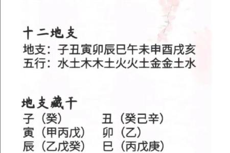 解读太乙排盘法中的五行与天干地支关系