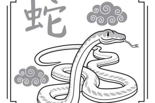 八字合不合，揭示你们的命运契合度
