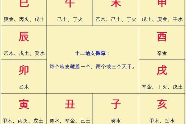 梅花排盘系统在命理学中的独特价值