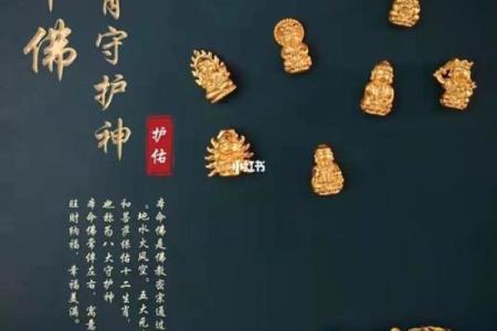 三七命与其他命理类型的区别