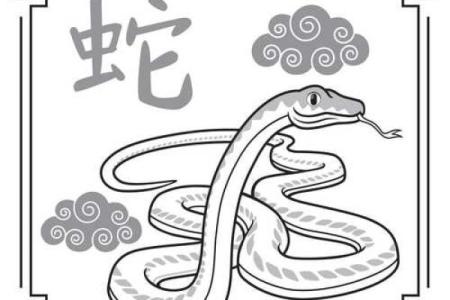 八字合不合，揭示你们的命运契合度