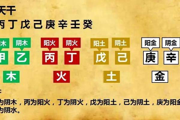 什么样的人属于金命：命理中的金属性格分析