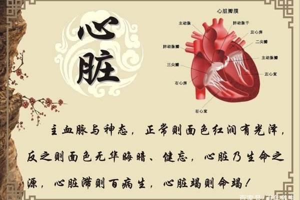 养命之源的智慧：日常习惯与身心健康的深度联系