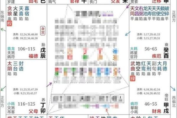 紫薇排盘入门指南：从基础到进阶的完整教程
