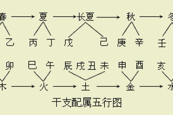 手指天干的神秘含义与五行关系解析