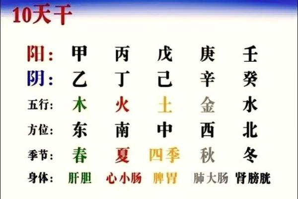 天干壬在福德中的影响与解读