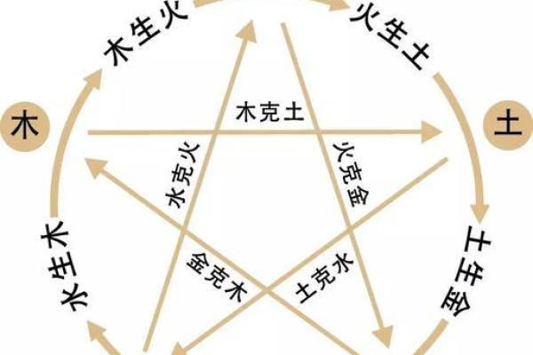 从四柱排盘看你的人生道路与关键选择