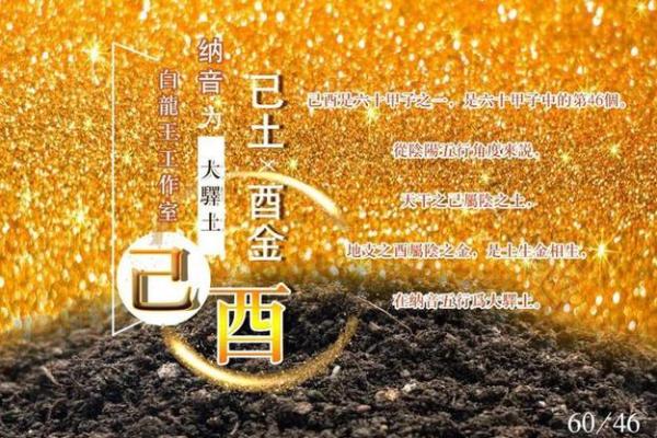 金鸡命的命理解析与人生运势探秘