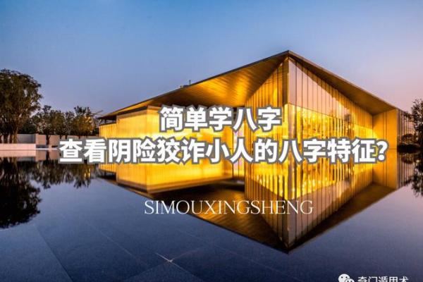 黑道八字：命运与江湖的交织之路