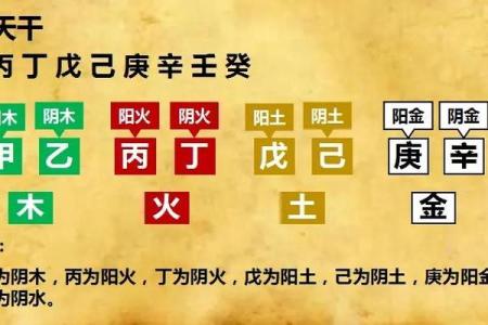 什么样的人属于金命：命理中的金属性格分析
