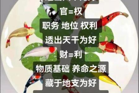养命之源的智慧：日常习惯与身心健康的深度联系