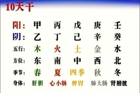 天干壬在福德中的影响与解读