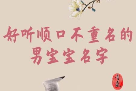 狗年男孩名字大全 独特且有寓意的选择