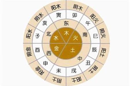 臣字的五行属性解析及其影响因素