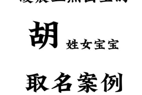 胡姓男孩取名字技巧与注意事项