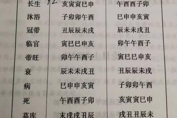 天干十二字在命理学中的应用与影响