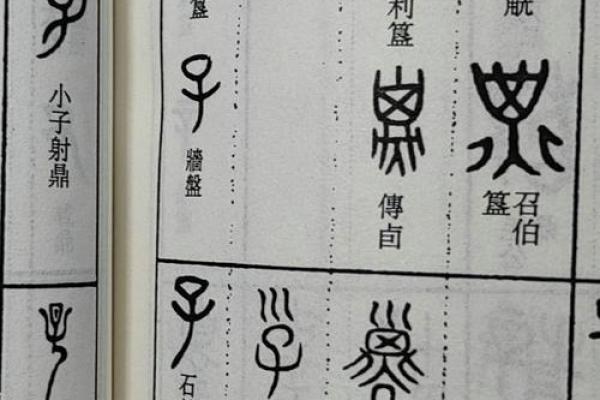 天干十二个字的正确读音解析与记忆技巧