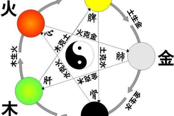照字五行属性解析与命理影响