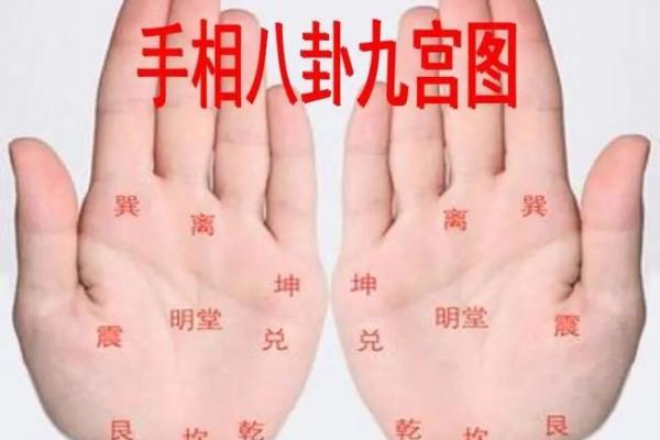 震命解析：东四命在八字命理中的独特地位