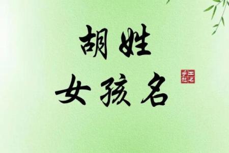 胡姓男孩取名字技巧与注意事项