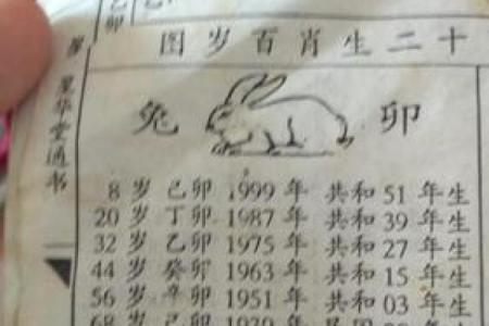 属兔命运详解：性格与运势的深度剖析