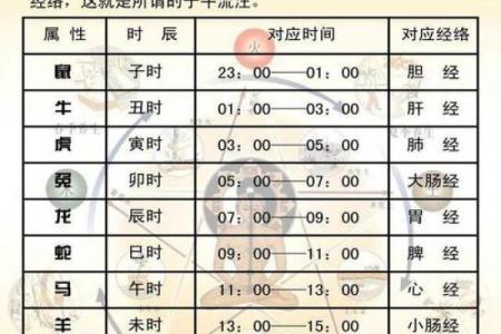 袁字五行属性解析与命理影响