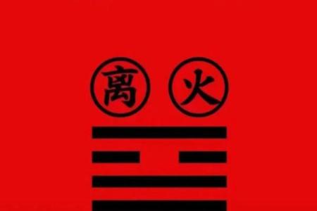 喜用五行查询助你优化命运与生活运势