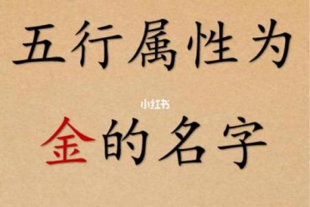 鸡年出生宝宝命名建议：从五行八字看名字的选择