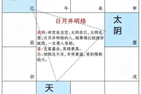免费解析紫薇排盘格局及其命运影响