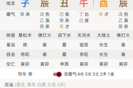 天干官印生的命理解析与应用技巧