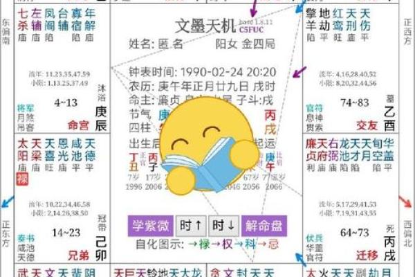 在线紫薇排盘体验，免费解析人生运势