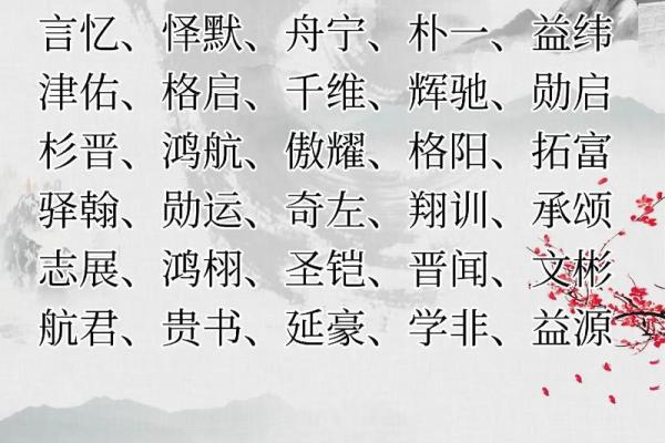 火名男孩名字的精选与文化解读