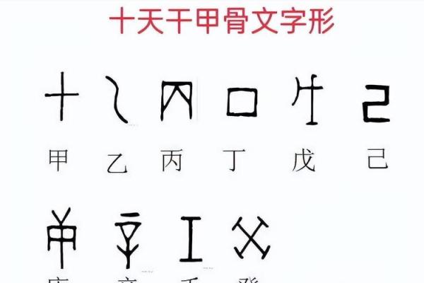 天干与节气的奥秘：探索五行与自然周期的深度关联