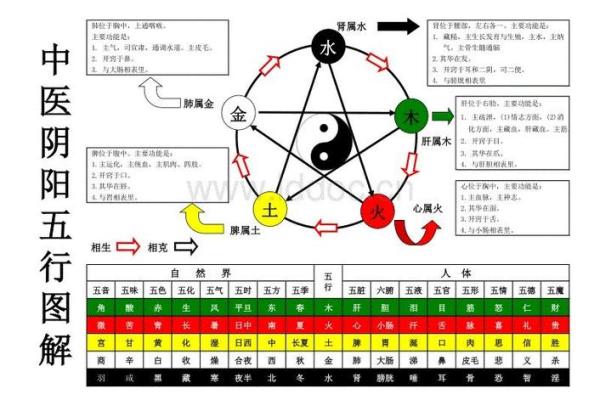 武汉五行属性解析及其对城市发展的影响