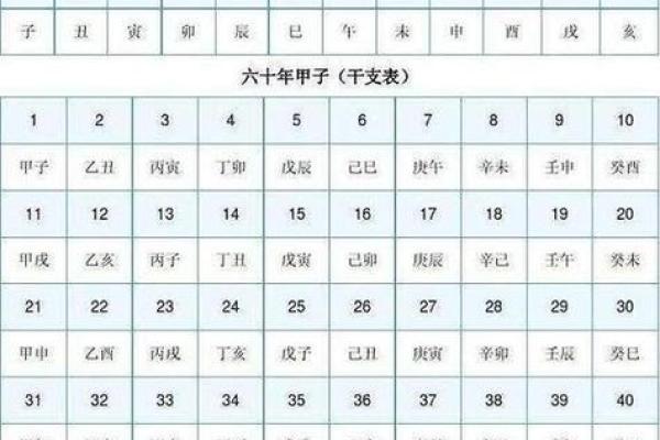 四柱天干左的意义与应用解析