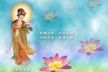 杀破狼命与人生运势的关系全解析