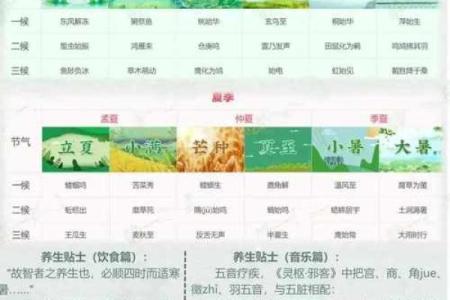 天干与节气的奥秘：探索五行与自然周期的深度关联