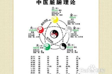 武汉五行属性解析及其对城市发展的影响