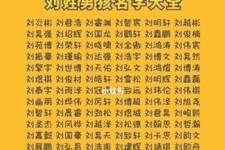 管姓男孩名字寓意深远的选择