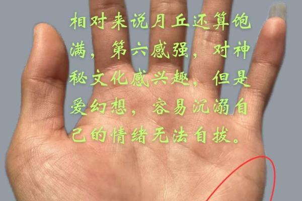 深入了解手相破解技巧，掌纹揭示性格与运势