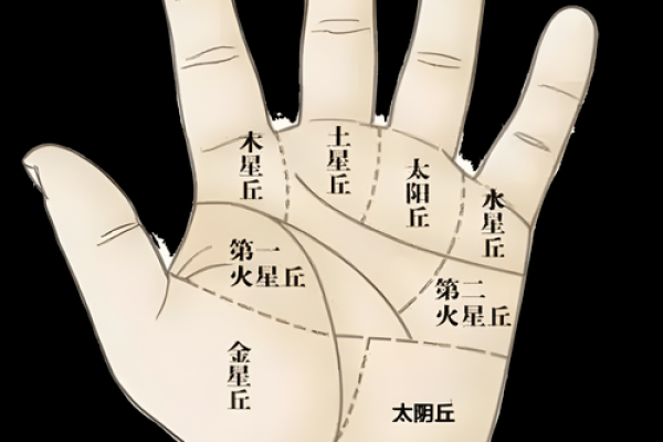 深入了解手相破解技巧，掌纹揭示性格与运势