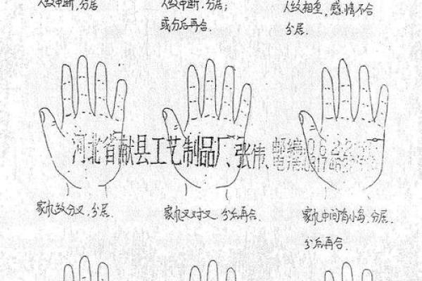 破解手相之谜：秘传技巧助你揭示内心世界