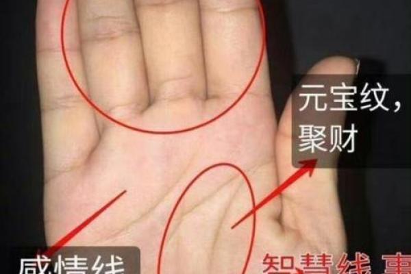 如何通过手掌看手相来预测未来的健康与财富