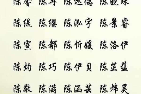 鸡年陈姓宝宝取名推荐：吉祥与祝福并存的名字选择