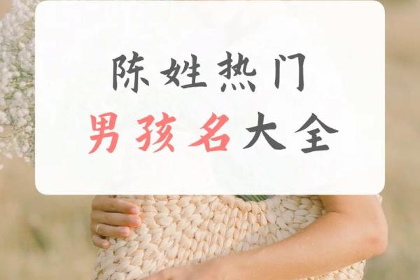 鸡年陈姓宝宝取名推荐：吉祥与祝福并存的名字选择