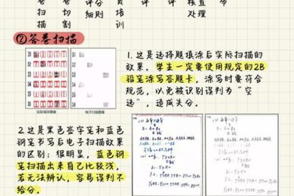公司命名的规范要求与注意事项解析