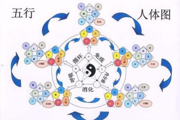 文五行与中国古代文化的深层联系解析