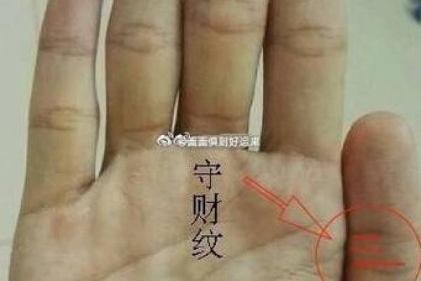 手相x纹与性格分析：你的手掌能告诉你什么？